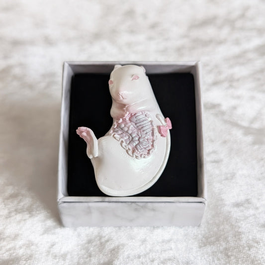 <33017>Anatomy, rat brooch